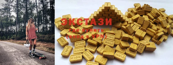 прущие грибы Гусиноозёрск