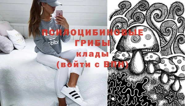a pvp Гусев